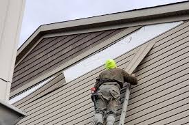 Best Siding Painting and Refinishing  in Dysart, IA